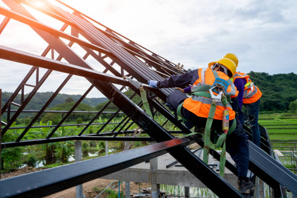 Best Residential Roof Replacement  in Deville, AL