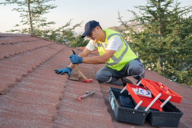 Best Roof Gutter Cleaning  in Deville, AL